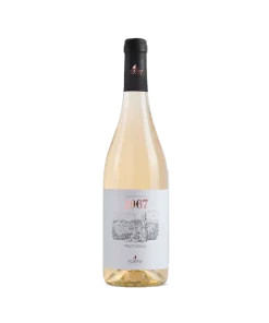 Alternative view of 1967 Pinot Grigio IGT 2021 – Cantine Torri