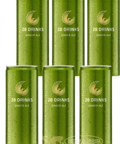 28 Drinks Ginger Ale 6 x 0,25 Liter