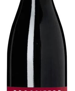 2019 Brogsitter Westhofener Steingrube Spätburgunder Barrique