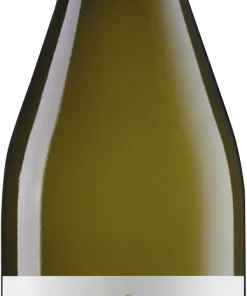 2023 Colli del Soligo Pinot Grigio