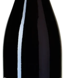 Alternative view of 2022 Brogsitter PINO·B Cuvée vom Pinot Noir, Cabernet Sauvignon, Regent
