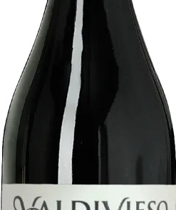 Alternative view of 2019 Valdivieso Syrah Winemaker´s Reserva