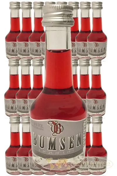 Bumsen Likör 25 x 2 cl Würfel – Bild 2