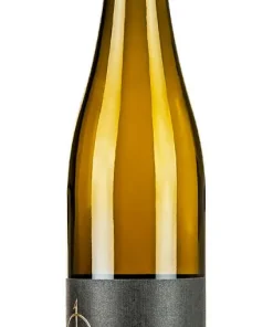 Alternative view of Weingut Bernhard Koch – Weissburgunder vom Löss trocken 2023