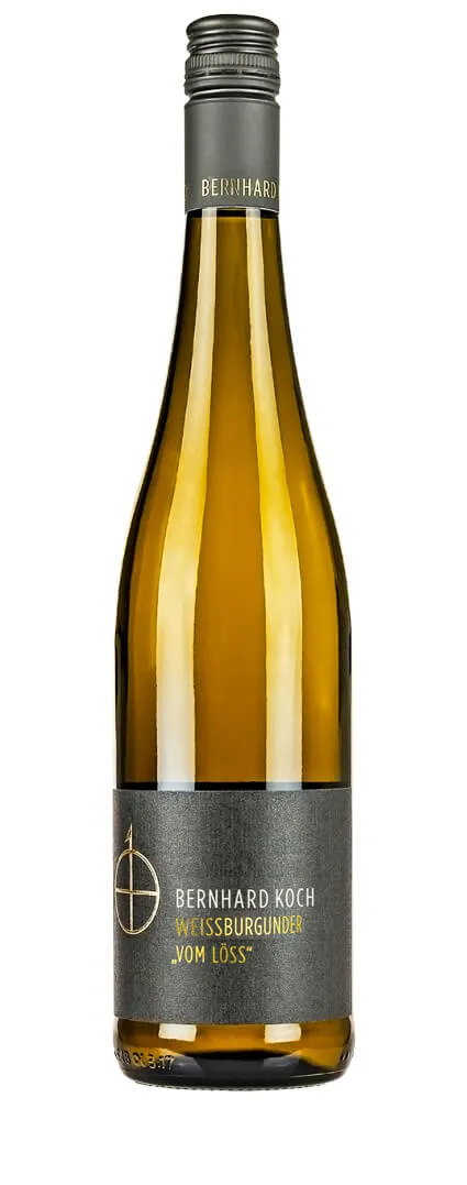 Weingut Bernhard Koch – Weissburgunder vom Löss trocken 2023 – Bild 2