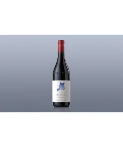 Alternative view of Bussia Barolo DOCG 2020 magnum – Arnaldo Rivera