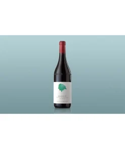 Alternative view of Castello Barolo DOCG 2020 – Arnaldo Rivera