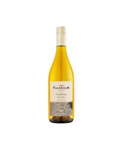 Alternative view of Chardonnay Reserva D.O. Elqui Valley 2021 – Viña Falernia