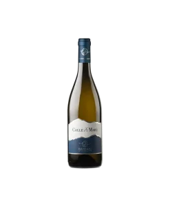 Alternative view of Colle di Mare Marche Bianco IGT 2022 – Damiani