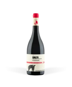 Alternative view of Corleto Paestum Aglianico IGP 2021 – San Salvatore 1988