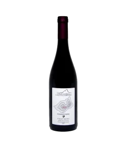 Alternative view of Diamante nero Pinot nero IGP Terre dell’Aquila 2018 – Castelsimoni