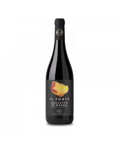 Alternative view of Il Forte Dolcetto di Ovada DOC 2022 – Produttori del Gavi