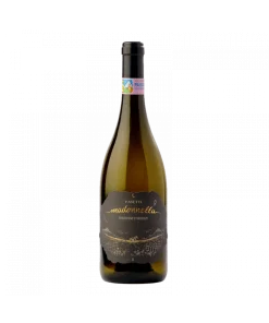 Madonnella Trebbiano d’Abruzzo D.O.C. 2017 – Pasetti