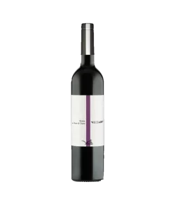 Merlot Terre di Chieti IGT 2023 – Mezzadro