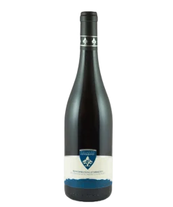 Alternative view of Montepulciano d’Abruzzo DOC 2023 Biologico – Palazzo Centofanti