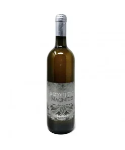 Orange 2019 Malvasia Magnetizzato – Pistis Sophia