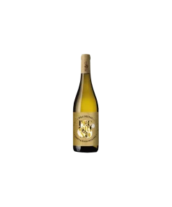 Alternative view of Pecorino d’Abruzzo Terre di Chieti IGT 2022 Senza Solfiti – Jasci & Marchesani