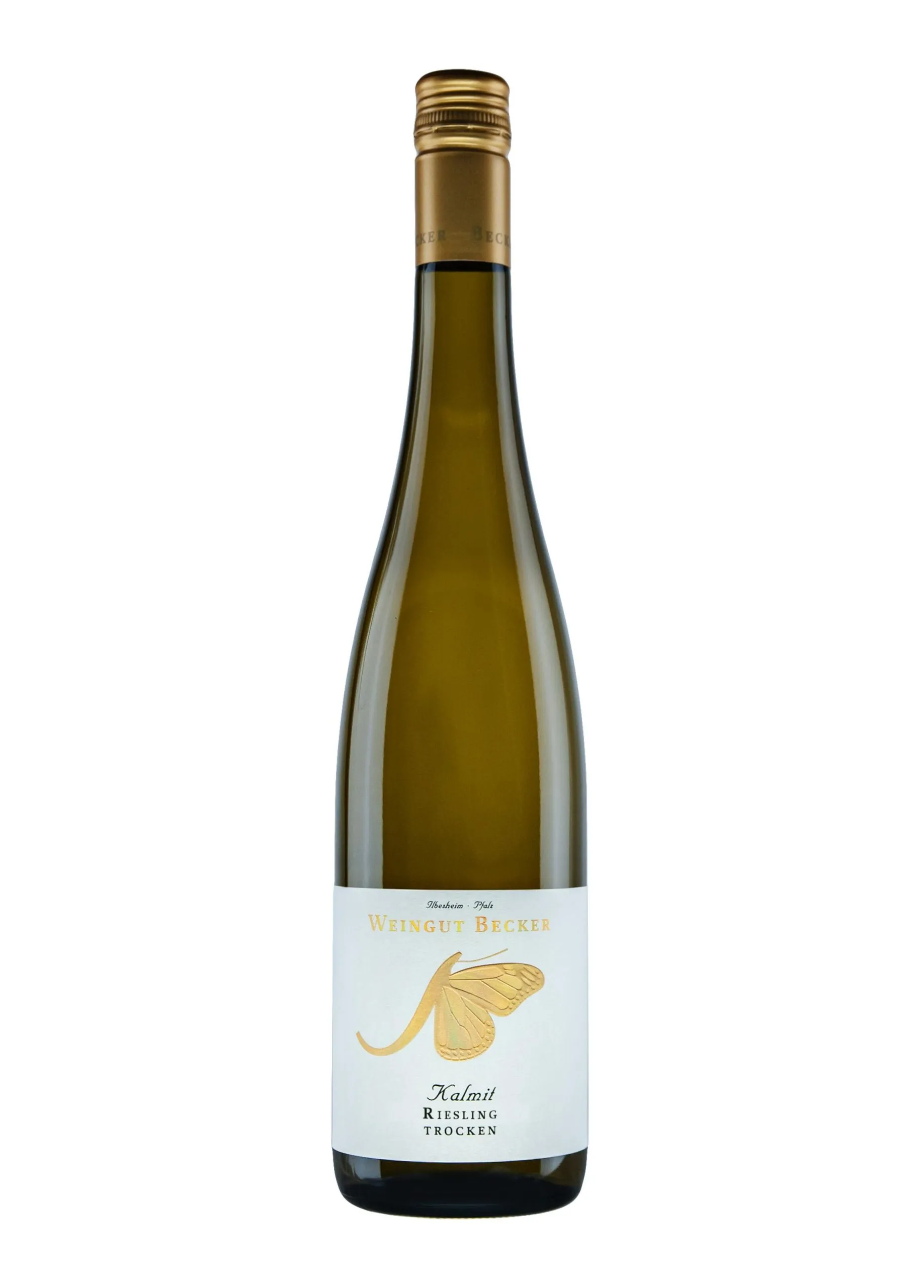 2023er Riesling trocken „Ilbesheimer Kalmit“