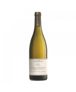 copy of Vigna del Convento di Capestrano Trebbiano d’Abruzzo DOC 2014 – Valle Reale