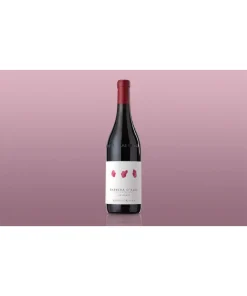 Alternative view of Valdisera Barbera d’Alba DOC 2021 magnum – Arnaldo Rivera