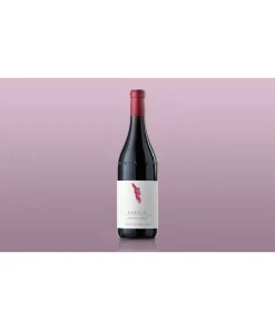 Vignarionda Barolo DOCG 2020 – Arnaldo Rivera