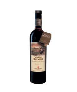Alternative view of VINUM HANNIBAL Riserva Montepulciano d’Abruzzo D.O.C. Terre dei Vestini 2009 – Chiarieri