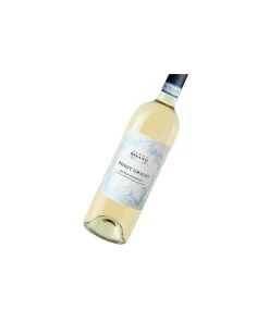 CANTINA DI VERONA Pinot Grigio Pagus Bisano 2024 DOC